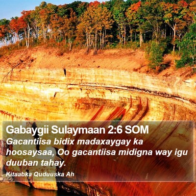 Gabaygii Sulaymaan 2:6 SOM Bible Verse Image