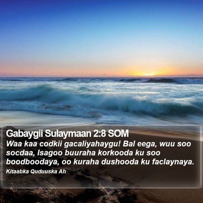 Gabaygii Sulaymaan 2:8 SOM Bible Verse Image