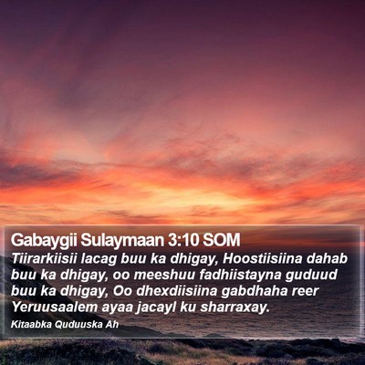 Gabaygii Sulaymaan 3:10 SOM Bible Verse Image