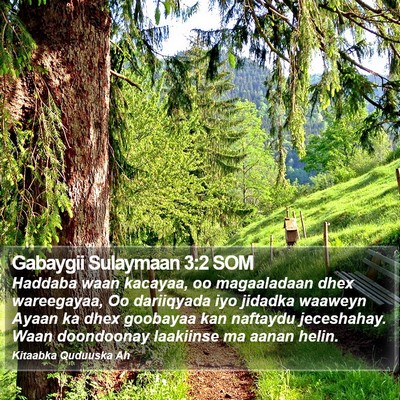 Gabaygii Sulaymaan 3:2 SOM Bible Verse Image