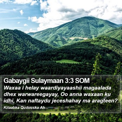Gabaygii Sulaymaan 3:3 SOM Bible Verse Image