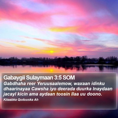 Gabaygii Sulaymaan 3:5 SOM Bible Verse Image