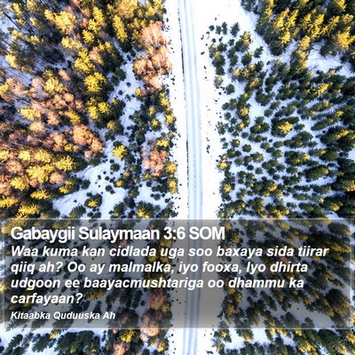 Gabaygii Sulaymaan 3:6 SOM Bible Verse Image