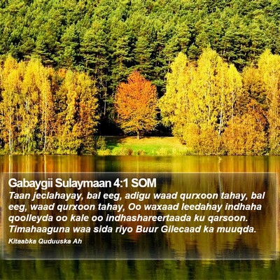 Gabaygii Sulaymaan 4:1 SOM Bible Verse Image