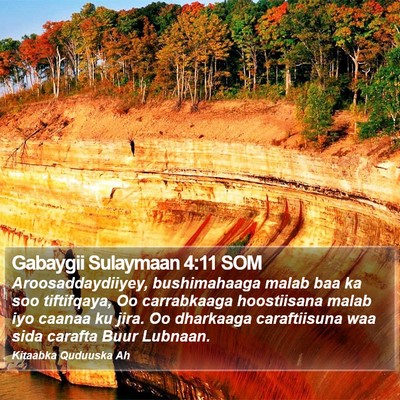 Gabaygii Sulaymaan 4:11 SOM Bible Verse Image