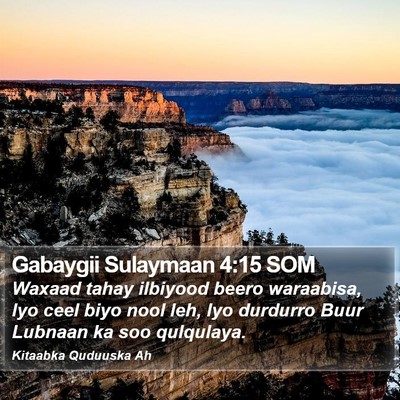 Gabaygii Sulaymaan 4:15 SOM Bible Verse Image