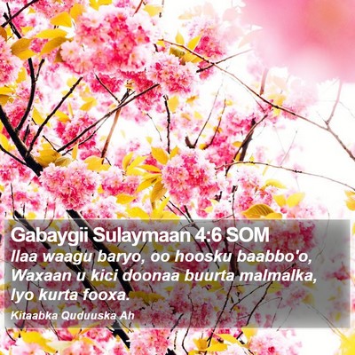 Gabaygii Sulaymaan 4:6 SOM Bible Verse Image
