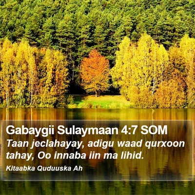 Gabaygii Sulaymaan 4:7 SOM Bible Verse Image