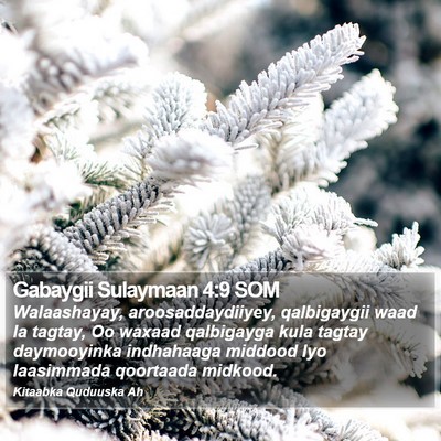 Gabaygii Sulaymaan 4:9 SOM Bible Verse Image
