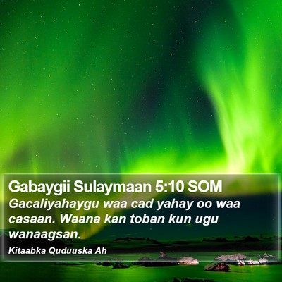 Gabaygii Sulaymaan 5:10 SOM Bible Verse Image