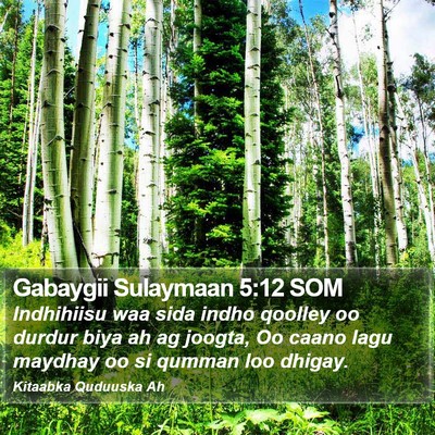 Gabaygii Sulaymaan 5:12 SOM Bible Verse Image