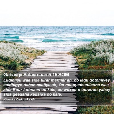 Gabaygii Sulaymaan 5:15 SOM Bible Verse Image