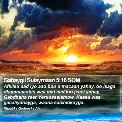 Gabaygii Sulaymaan 5:16 SOM Bible Verse Image