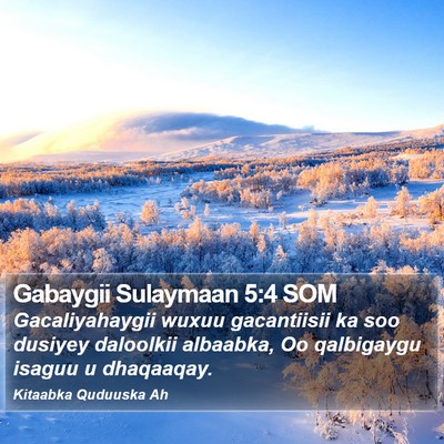 Gabaygii Sulaymaan 5:4 SOM Bible Verse Image