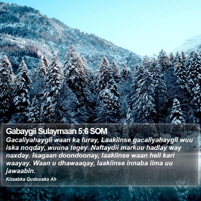 Gabaygii Sulaymaan 5:6 SOM Bible Verse Image