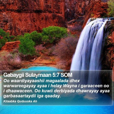 Gabaygii Sulaymaan 5:7 SOM Bible Verse Image