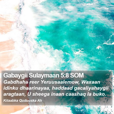 Gabaygii Sulaymaan 5:8 SOM Bible Verse Image