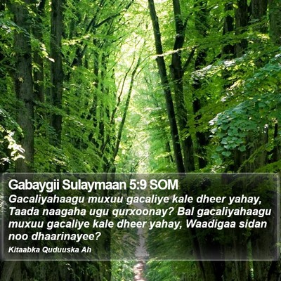 Gabaygii Sulaymaan 5:9 SOM Bible Verse Image