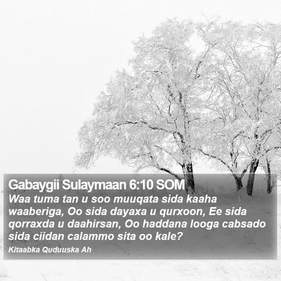 Gabaygii Sulaymaan 6:10 SOM Bible Verse Image