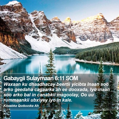 Gabaygii Sulaymaan 6:11 SOM Bible Verse Image