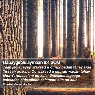 Gabaygii Sulaymaan 6:4 SOM Bible Verse Image