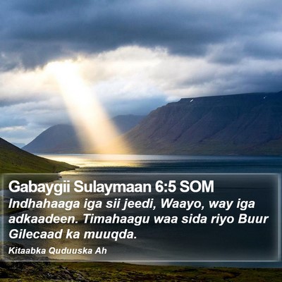 Gabaygii Sulaymaan 6:5 SOM Bible Verse Image