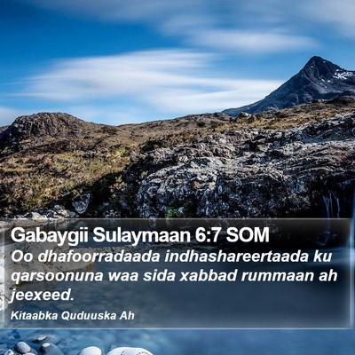 Gabaygii Sulaymaan 6:7 SOM Bible Verse Image