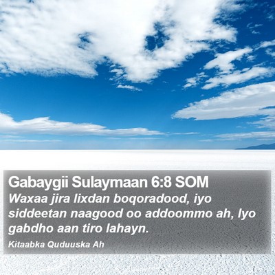 Gabaygii Sulaymaan 6:8 SOM Bible Verse Image