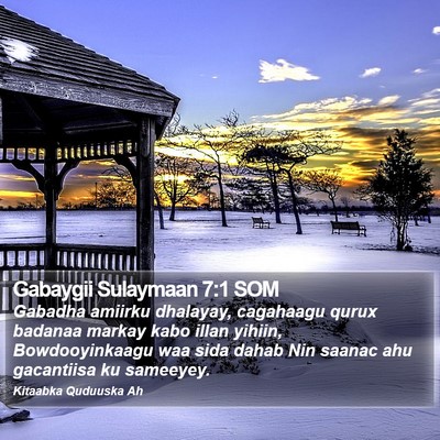 Gabaygii Sulaymaan 7:1 SOM Bible Verse Image