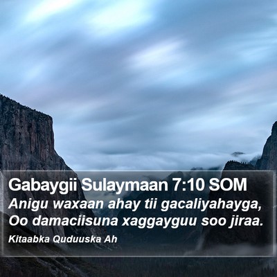 Gabaygii Sulaymaan 7:10 SOM Bible Verse Image