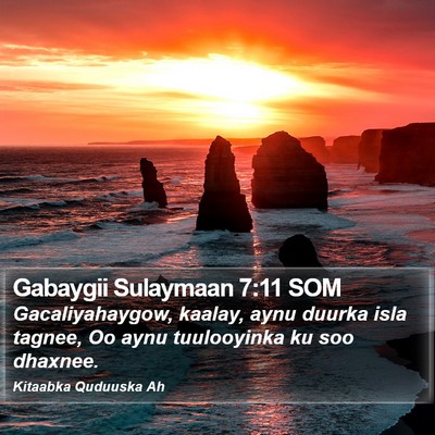 Gabaygii Sulaymaan 7:11 SOM Bible Verse Image