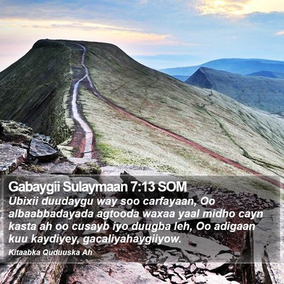 Gabaygii Sulaymaan 7:13 SOM Bible Verse Image