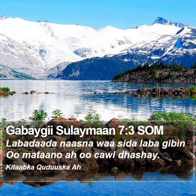 Gabaygii Sulaymaan 7:3 SOM Bible Verse Image