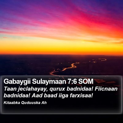 Gabaygii Sulaymaan 7:6 SOM Bible Verse Image