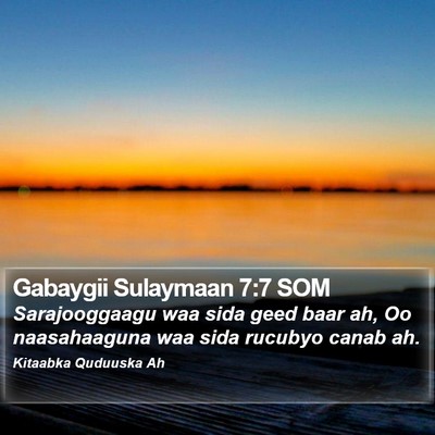 Gabaygii Sulaymaan 7:7 SOM Bible Verse Image