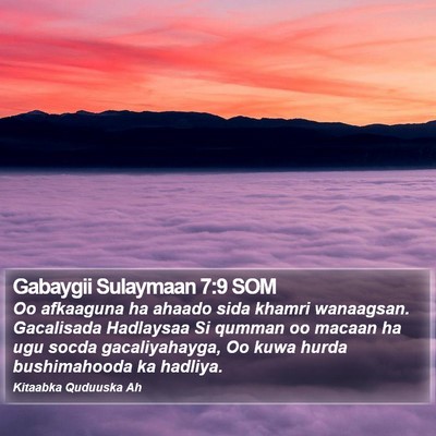 Gabaygii Sulaymaan 7:9 SOM Bible Verse Image