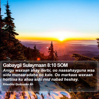 Gabaygii Sulaymaan 8:10 SOM Bible Verse Image