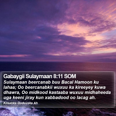 Gabaygii Sulaymaan 8:11 SOM Bible Verse Image