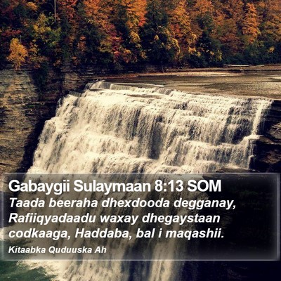 Gabaygii Sulaymaan 8:13 SOM Bible Verse Image