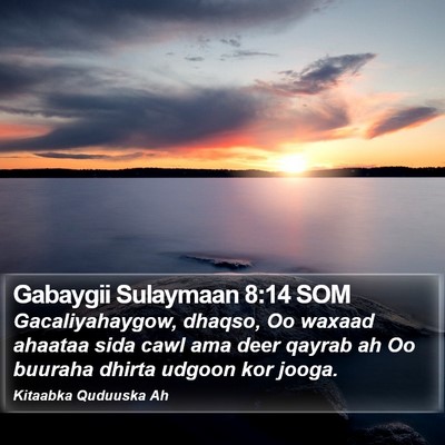 Gabaygii Sulaymaan 8:14 SOM Bible Verse Image