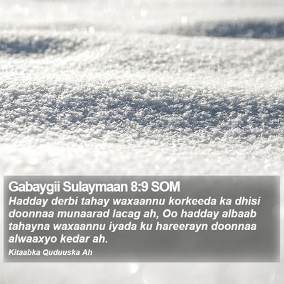Gabaygii Sulaymaan 8:9 SOM Bible Verse Image