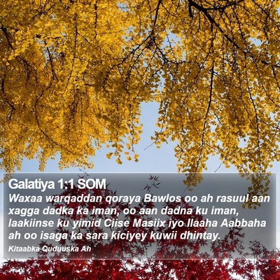 Galatiya 1:1 SOM Bible Verse Image