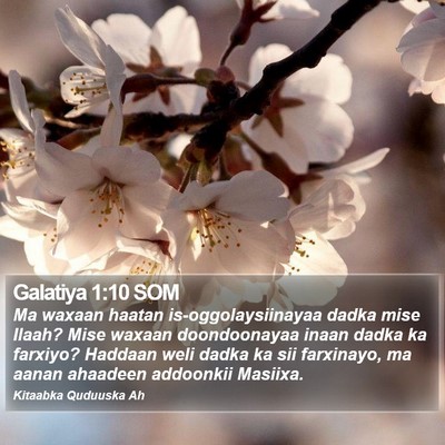 Galatiya 1:10 SOM Bible Verse Image