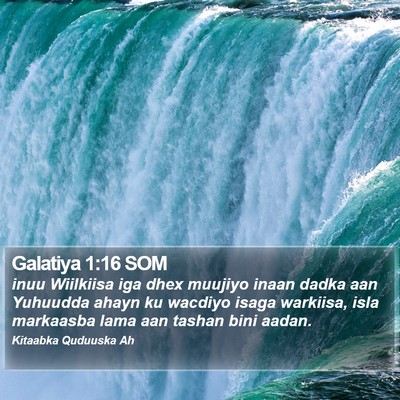 Galatiya 1:16 SOM Bible Verse Image