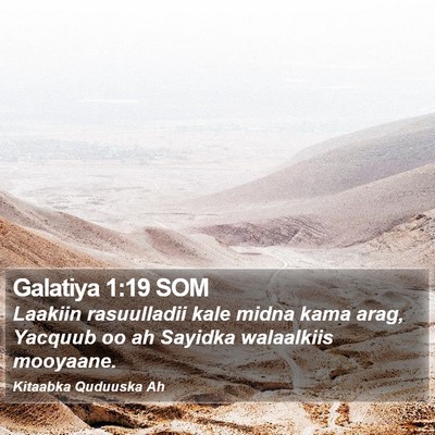 Galatiya 1:19 SOM Bible Verse Image