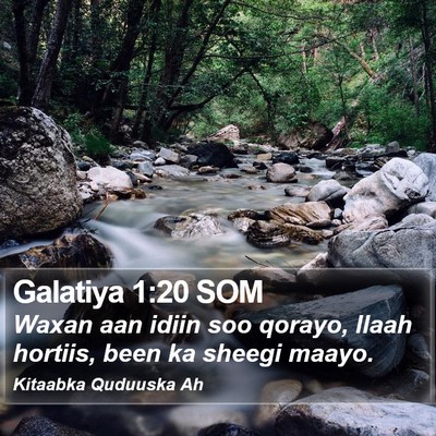 Galatiya 1:20 SOM Bible Verse Image