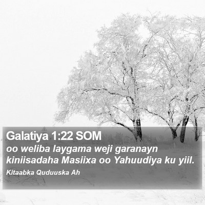 Galatiya 1:22 SOM Bible Verse Image