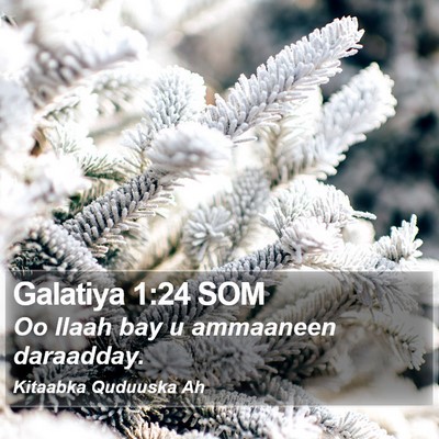 Galatiya 1:24 SOM Bible Verse Image
