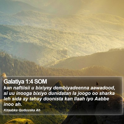 Galatiya 1:4 SOM Bible Verse Image