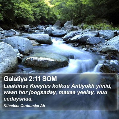 Galatiya 2:11 SOM Bible Verse Image
